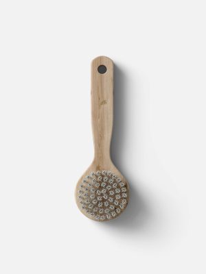 Long Scrub Brush